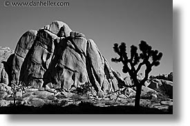 black and white, california, horizontal, joshua, joshua tree, rocks, west coast, western usa, photograph