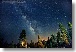california, galaxy, horizontal, kings canyon, long exposure, milky way, nite, stars, trees, west coast, western usa, photograph