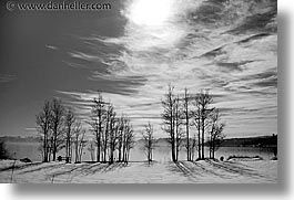 bare, black and white, california, horizontal, lake tahoe, lakes, scenics, snow, trees, west coast, western usa, photograph
