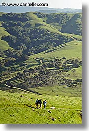 california, dogs, hikers, hills, lucas valley, marin, marin county, north bay, northern california, san francisco bay area, vertical, west coast, western usa, photograph