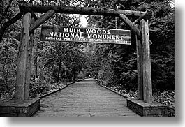 black and white, california, entry, forests, horizontal, marin, marin county, muir, muir woods, nature, north bay, northern california, paths, plants, signs, slow exposure, trees, west coast, western usa, woods, photograph