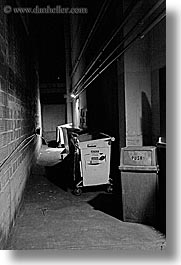 alleys, black and white, california, events, marin, marin county, north bay, northern california, parties, san francisco bay area, sequoia, slow exposure, vertical, west coast, western usa, photograph