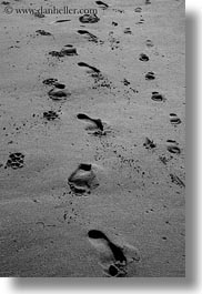 beaches, black and white, california, footprints, marin, marin county, materials, north bay, northern california, sand, vertical, west coast, western usa, photograph