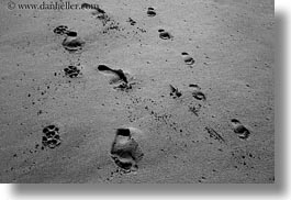 beaches, black and white, california, footprints, horizontal, marin, marin county, materials, north bay, northern california, sand, west coast, western usa, photograph