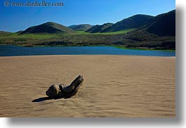 beaches, california, horizontal, logs, marin, marin county, north bay, northern california, sand, west coast, western usa, photograph