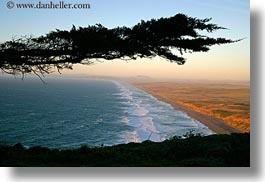 beaches, california, coastline, horizontal, long, marin, marin county, north bay, northern california, silhouettes, trees, west coast, western usa, photograph