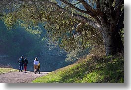 bear valley trail, california, hikers, horizontal, marin, marin county, north bay, northern california, people, stroller, west coast, western usa, womens, photograph