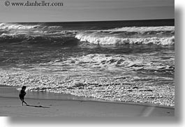 beaches, black and white, california, horizontal, jack jill, jacks, marin, marin county, north bay, northern california, ocean, people, west coast, western usa, photograph
