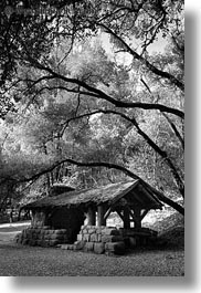black and white, branches, california, huts, marin, marin county, north bay, northern california, phoenix lake park, ross, stones, vertical, west coast, western usa, woods, photograph