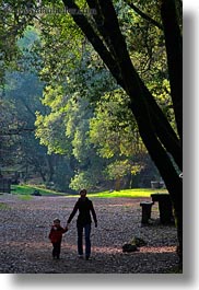 boys, california, childrens, colors, forests, green, heather, lush, marin, marin county, mothers, nature, north bay, northern california, people, phoenix lake park, plants, ross, russel, scenics, silhouettes, trees, vertical, west coast, western usa, womens, photograph