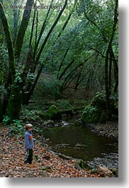 boys, california, childrens, colors, forests, green, jacks, lush, marin, marin county, nature, north bay, northern california, people, phoenix lake park, plants, rivers, ross, scenics, trees, vertical, west coast, western usa, photograph