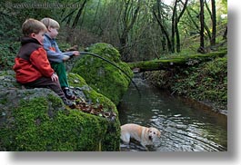 animals, boys, california, childrens, colors, dogs, forests, green, horizontal, jacks, labrador, lush, marin, marin county, nature, north bay, northern california, people, phoenix lake park, plants, ross, russel, scenics, trees, west coast, western usa, photograph