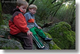 boys, california, childrens, colors, forests, green, horizontal, jacks, lush, marin, marin county, nature, north bay, northern california, people, phoenix lake park, plants, ross, russel, scenics, trees, west coast, western usa, photograph