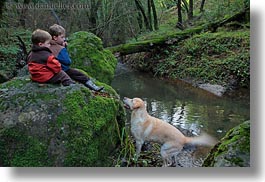 animals, boys, california, childrens, colors, dogs, forests, green, horizontal, kyle, labrador, lush, marin, marin county, nature, north bay, northern california, people, phoenix lake park, plants, ross, russel, scenics, trees, west coast, western usa, photograph