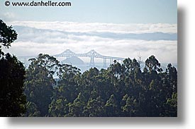 bridge, california, fog, horizontal, marin, marin county, north bay, northern california, san francisco bay area, san rafael, west coast, western usa, photograph