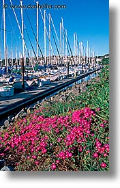 boats, california, flowers, marin, marin county, north bay, northern california, san francisco bay area, sausalito, vertical, west coast, western usa, photograph