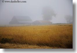 barn, buildings, california, fields, fog, horizontal, mendocino, nature, west coast, western usa, photograph