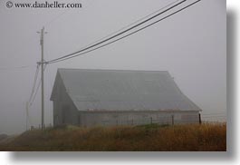 barn, buildings, california, fog, horizontal, mendocino, nature, telephone wires, telephones, west coast, western usa, wires, photograph