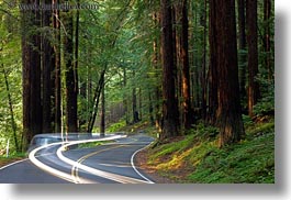 california, car headlights, cars, colors, forests, green, headlights, horizontal, light streaks, long exposure, materials, mendocino, motion blur, nature, plants, redwood trees, redwoods, streets, trees, west coast, western usa, woods, photograph