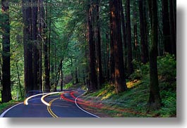california, car headlights, cars, colors, forests, green, headlights, horizontal, light streaks, materials, mendocino, motion blur, nature, plants, redwood trees, redwoods, slow exposure, streets, trees, west coast, western usa, woods, photograph