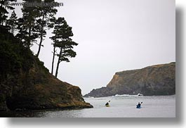 california, coastline, horizontal, kayaks, lagoon, mendocino, nature, plants, trees, water, west coast, western usa, photograph