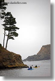 california, coastline, kayaks, lagoon, mendocino, nature, plants, trees, vertical, water, west coast, western usa, photograph