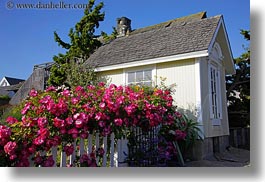 california, flowers, horizontal, houses, mendocino, nature, west coast, western usa, photograph