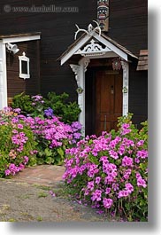 california, doors, flowers, mendocino, nature, pink, vertical, west coast, western usa, photograph