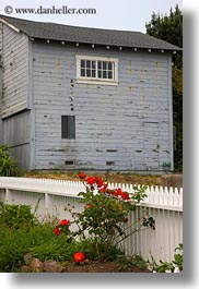 buildings, california, flowers, gray, mendocino, nature, red, vertical, west coast, western usa, photograph