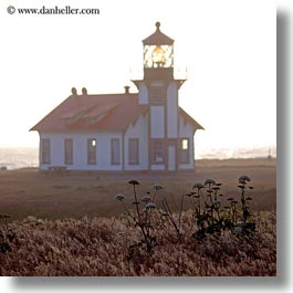 buildings, cabrillo, california, days, fields, fog, haze, lighthouses, mendocino, square format, structures, west coast, western usa, photograph
