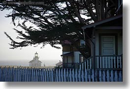 branches, buildings, california, days, fences, haze, horizontal, houses, lighthouses, mendocino, nature, plants, structures, trees, west coast, western usa, photograph