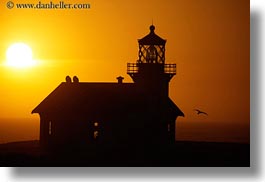 birds, buildings, california, colors, horizontal, lighthouses, mendocino, nature, oranges, silhouettes, sky, structures, sun, sunsets, west coast, western usa, photograph