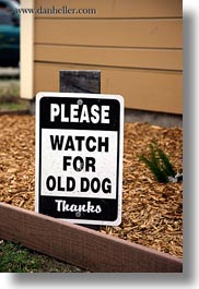 california, dogs, emotions, for, humor, mendocino, old, signs, vertical, watches, west coast, western usa, photograph