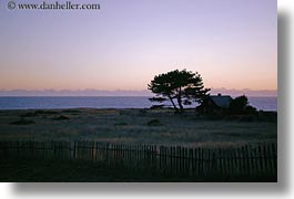 california, dusk, horizontal, houses, mendocino, silhouettes, trees, west coast, western usa, photograph