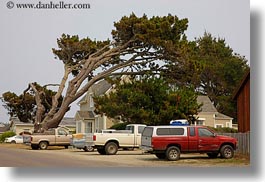 california, emotions, horizontal, humor, leaning, mendocino, over, trees, trucks, west coast, western usa, photograph