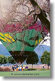 balloons, california, napa, vertical, west coast, western usa, photograph