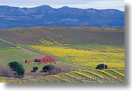 california, horizontal, houses, napa, vineyards, west coast, western usa, photograph