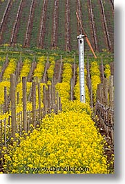california, napa, vertical, vineyards, west coast, western usa, windmills, photograph
