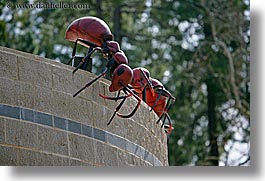 ants, arts, california, horizontal, insects, oakland zoo, sculptures, walls, west coast, western usa, photograph