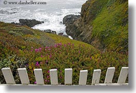california, fences, horizontal, ice plants, ocean, picket fence, pigeon point lighthouse, structures, west coast, western usa, photograph