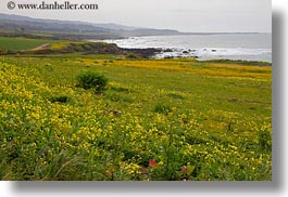 california, green, horizontal, landscapes, pigeon point lighthouse, west coast, western usa, photograph