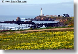 california, greenery, horizontal, lighthouses, pigeon point lighthouse, west coast, western usa, photograph