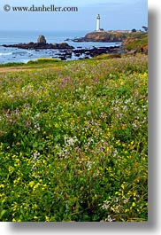 california, greenery, lighthouses, pigeon point lighthouse, vertical, west coast, western usa, photograph