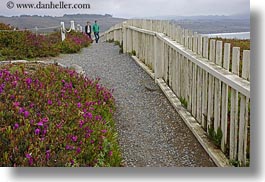 california, fences, horizontal, paths, people, picket, picket fence, pigeon point lighthouse, structures, west coast, western usa, photograph