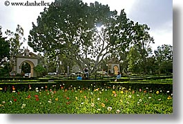 balboa park, california, flowers, horizontal, san diego, sun, trees, west coast, western usa, photograph