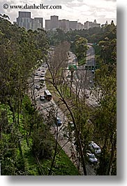 california, cityscapes, highways, san diego, traffic, trees, vertical, west coast, western usa, photograph