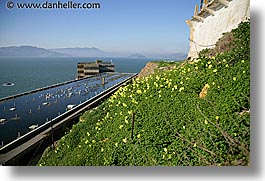 alcatraz, buildings, california, flowers, horizontal, marin, san francisco, views, west coast, western usa, photograph