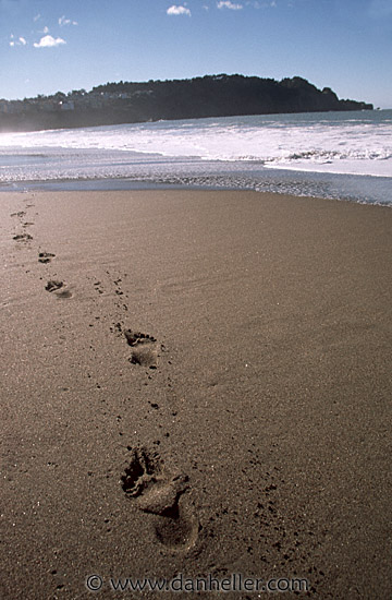 footprints poem. 2010 footprints in the sand