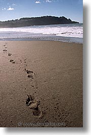 beaches, california, footprints, san francisco, sand, vertical, west coast, western usa, photograph