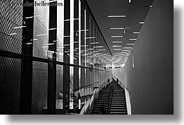 black and white, buildings, california, de young, de young museum, golden gate park, horizontal, museums, san francisco, stairs, west coast, western usa, photograph